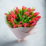 Serenade of Tulips