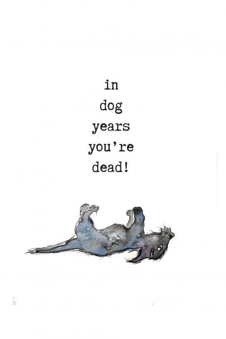 In dog years you're dead