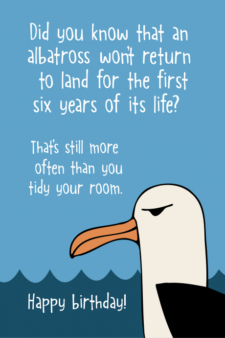 Albatross Birthday