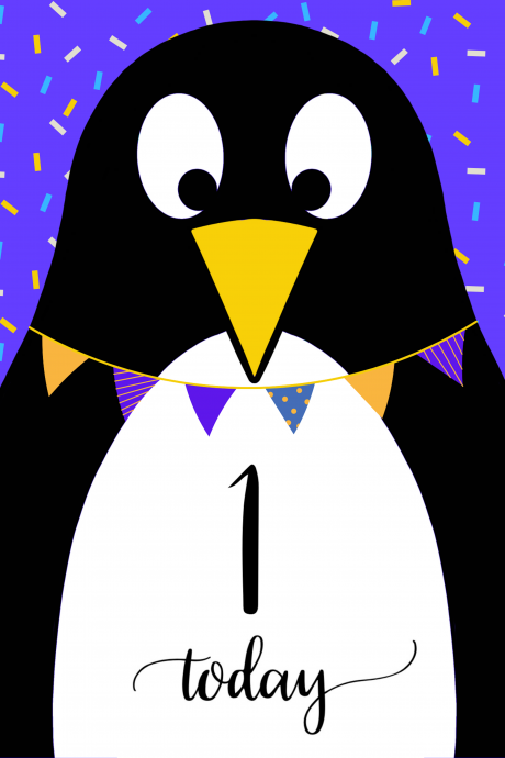 1 Today Penguin