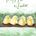 Easter - baby chicks