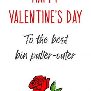 To the best bin putter-outer