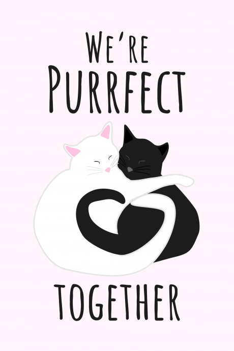 We're Purrfect Together (Perfect) Cats Kitty