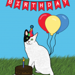 Happy Birthday Cat Card