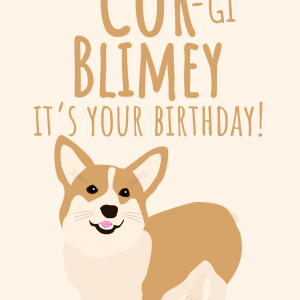 Corgi Blimey It's Your Birthday! (Corr Blimey) UK