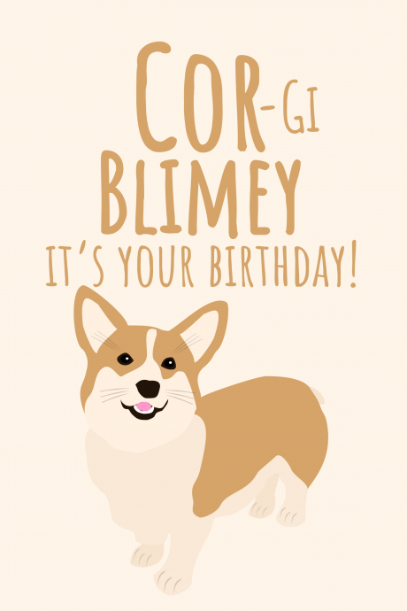 Corgi Blimey It's Your Birthday! (Corr Blimey) UK