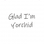 Glad I'm y'orchid
