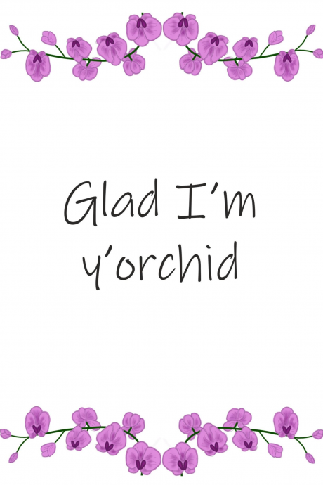 Glad I'm y'orchid