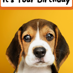 Smile.. It's Your Birthday - Puppy