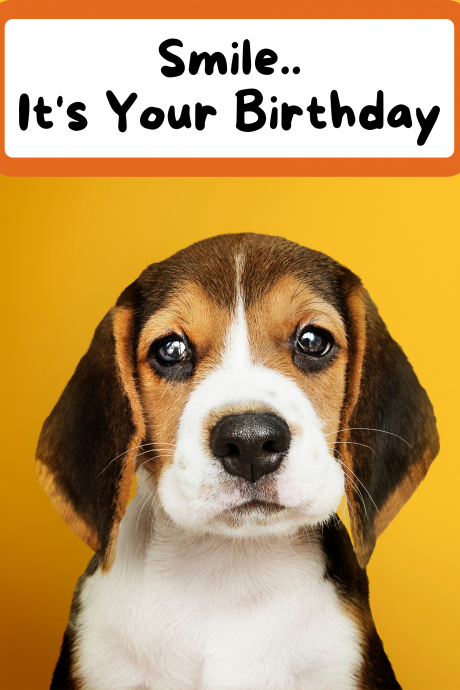 Smile.. It's Your Birthday - Puppy