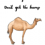 Another year older. Don’t get the hump (Camel)