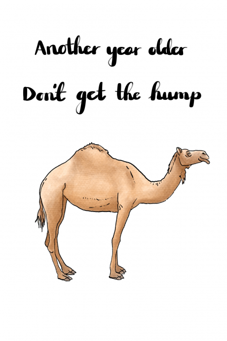 Another year older. Don’t get the hump (Camel)