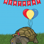 Happy Birthday Tortoise Card