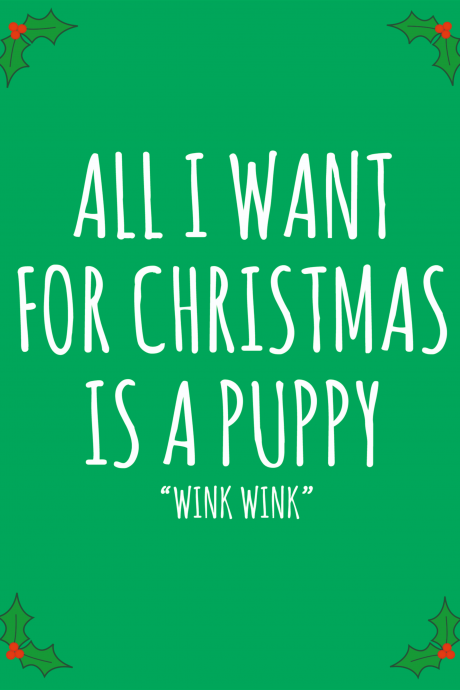 All I want for Christmas is a puppy