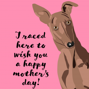 Mother's Day Greyhound