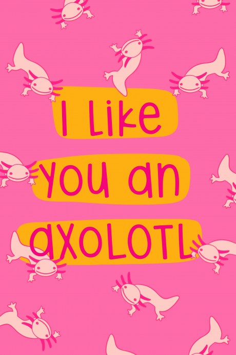 I like you an axolotl