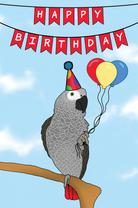 Happy Birthday African Grey Parrot Card
