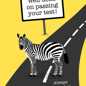 Zebra Crossing Driving Test Card