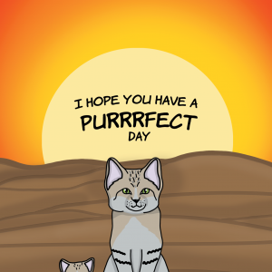 Perfect Day Sand Cat Pun Birthday Card