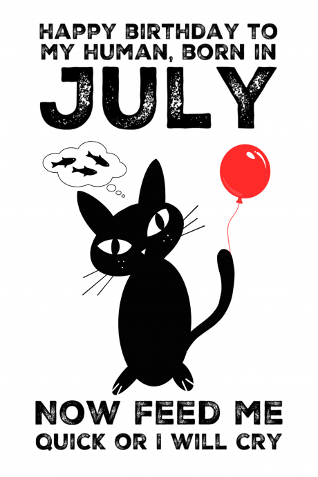 July -From the Cat