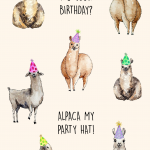 Alpaca my party hat!