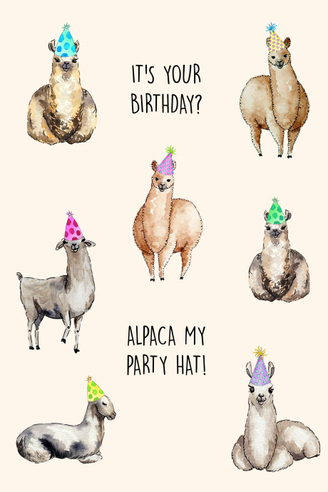 Alpaca my party hat!