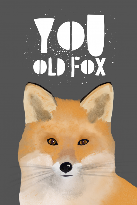 You Old Fox