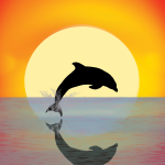 Dolphin Sunset Happy Birthday Card