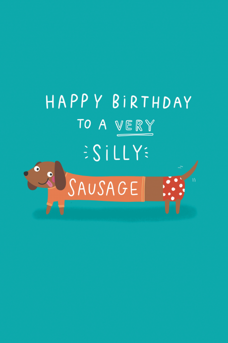 Happy Birthday you Silly Sausage!