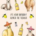Alpaca the Tequila!