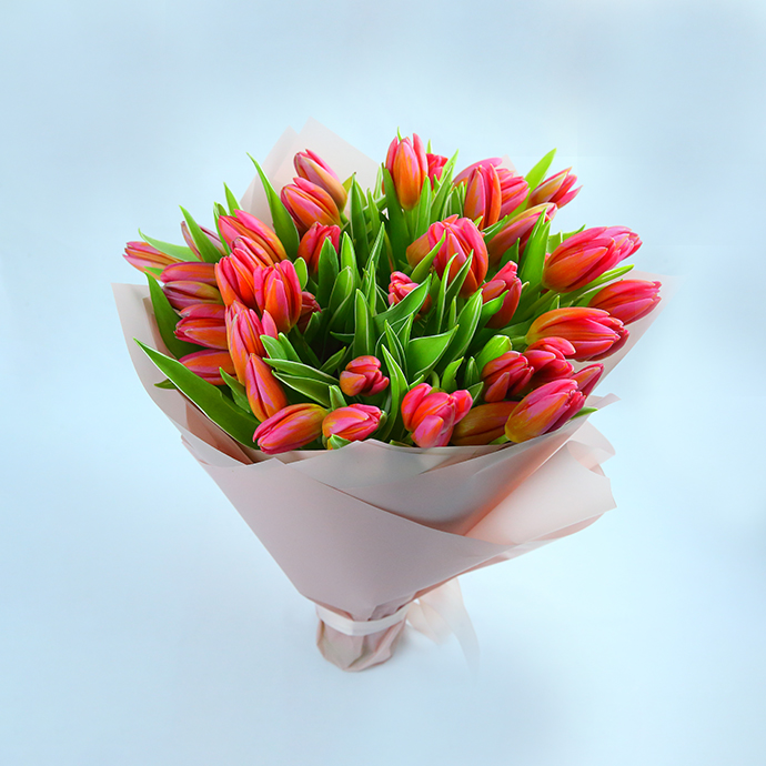 Serenade of Tulips